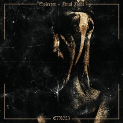 Final Fight (Original Mix)