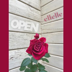 Open(demo)