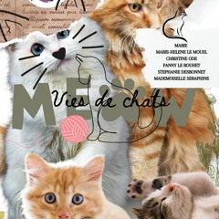 Chat en cascade / oeuvre multimains