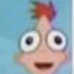 not sure how to explain this one chief