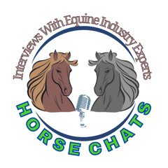 0937: Glenys Cox 49 - What Do Horses Dream About?