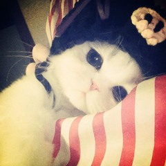 CALMER AIR PROD REWIND