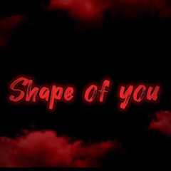 SHAPE OF YOU - ducmeo remix