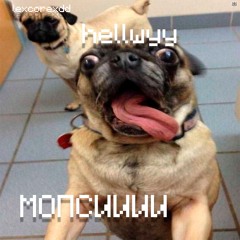 МОПСИИИ [nightiger]