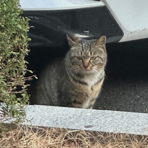 mc몽 - 기도 (Feat. 박효신) 배속