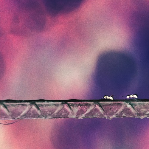 Ants - Goth Milk