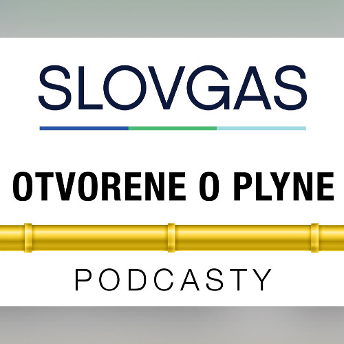 Otvorene o plyne so S.Pánisom