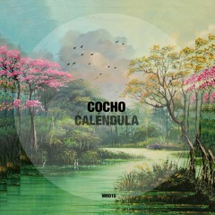 PREMIERE: Cocho - Caléndula (Original Mix) [Mirrors]