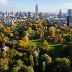 Amber Rahantoknam - Gerrit Kouwenaar