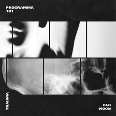 Programma 101 - Rosendal