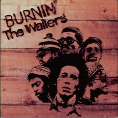Bob Marley & The Wailers - I shot the sherrif (MJhola remix)