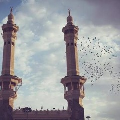 ادْخُلُوهَا بِسَلَامٍ آَمِنِينَ | هزاع البلوشي