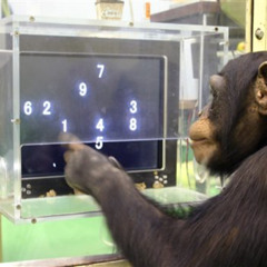 CHANGO VS BARK VS GOOM - MEGASQUEEZE [2nd drop] (CLIP)