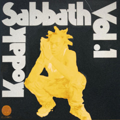 KODAK SABBATH GLASS ROSE MIX VOL. 1