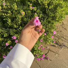 وردك يميل ويقول مين في الجمال قدّي ؟