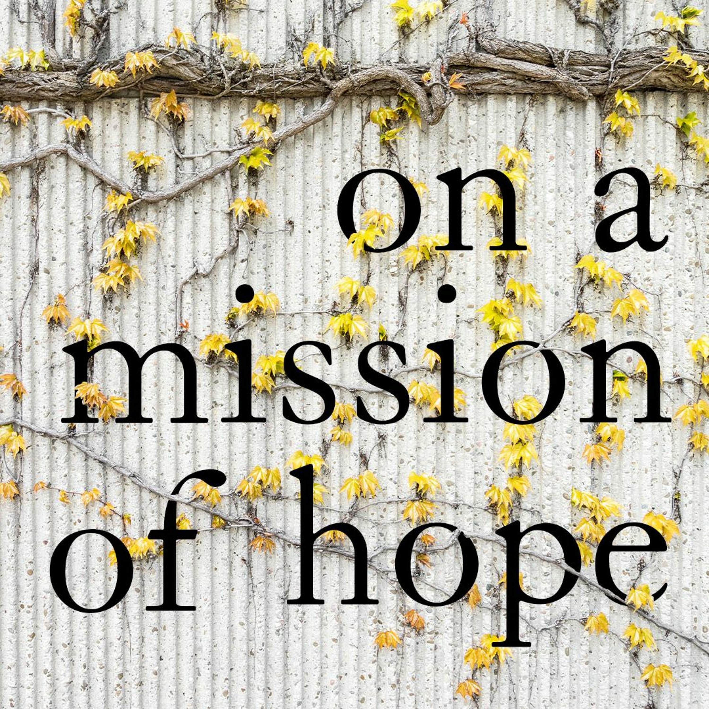 23 February 2020 | On a Mission of Hope - 1 Peter 5 - Luke Parker episode artwork