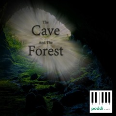 The Cave And The Forest