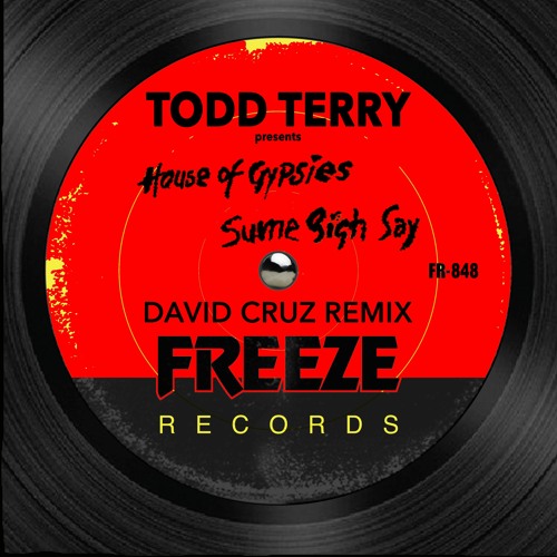 Todd Terry & House Of Gypsies - Sume Sigh Say (David Cruz Edit) [Freeze Records]