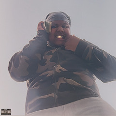 Wildin(feat. Ralan Styles)
