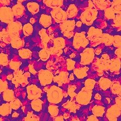 Just Geo - Told You So