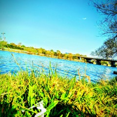 Accepted Cocktail (feat. Lasergehirn)