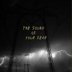 The Sound Of Your Fear (Slowed+Reverb)