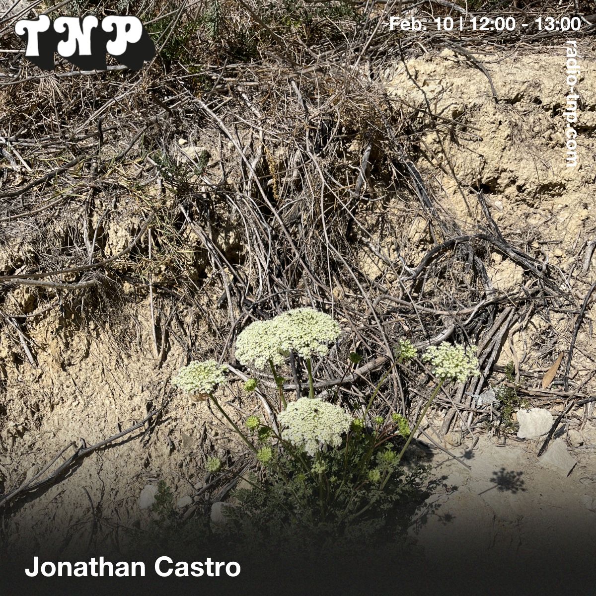 Jonathan Castro