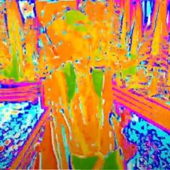 Holland Neon Freestyle