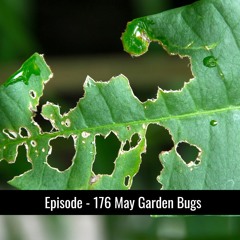 176 - May Garden Bugs