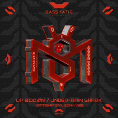 Natasha Wax, Sony Vibe - Up & Down | Bassmatic Records