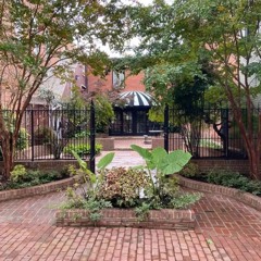 Storytelling at the Ivy!