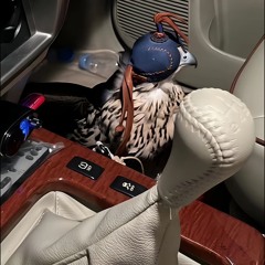 الكعبي رزفه