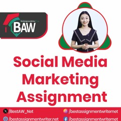 Social Media Marketing Assignment Help | bestassignmentwriter.net