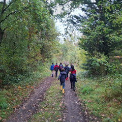 L'enquête élémentaire #1