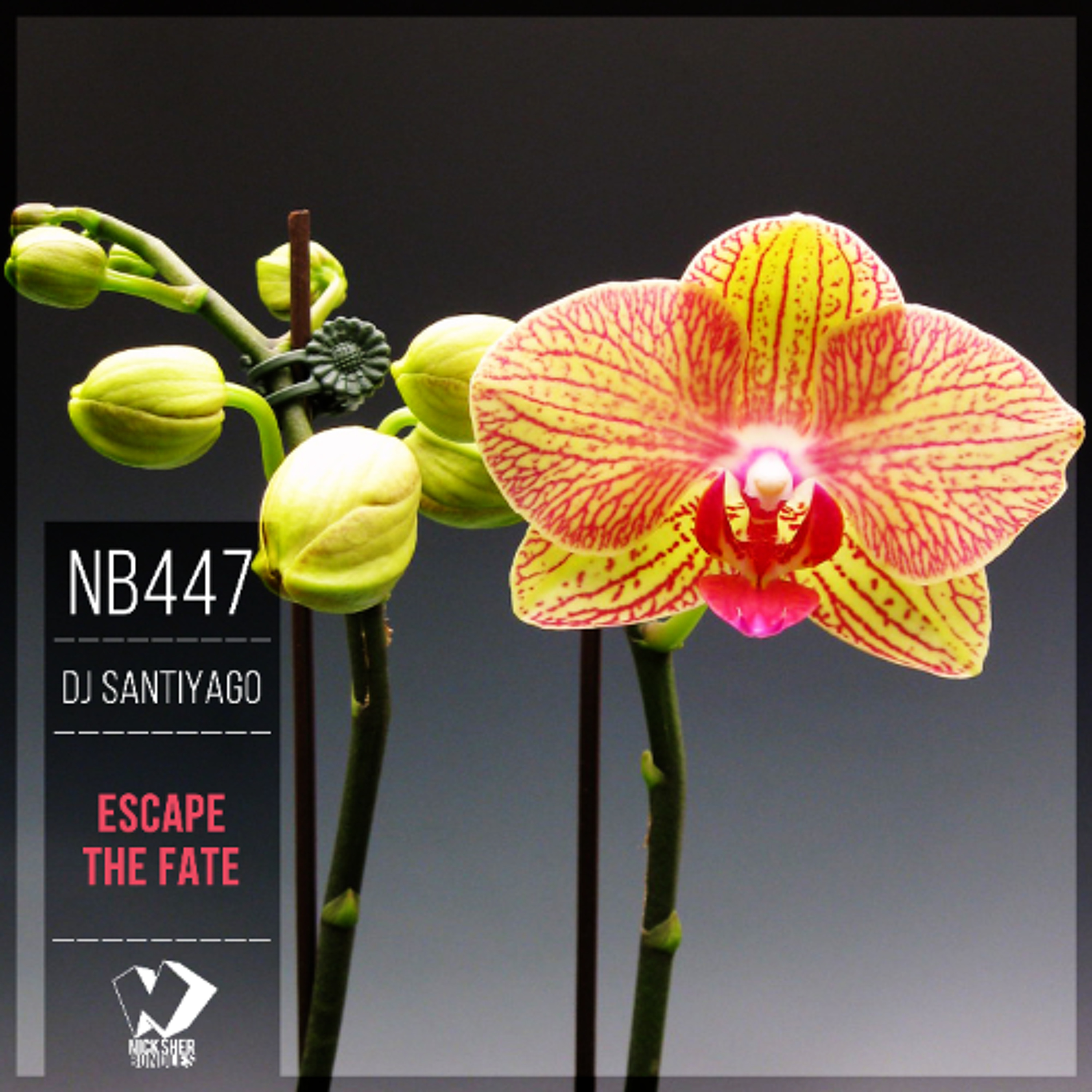 DJ Santiyago - Escape the Fate (Original Mix) episode artwork