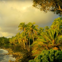 Atwer ( Live-cover )