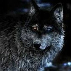 Awakening Of The Wolves (Gabber/Hardcore/Hardcore Indus)