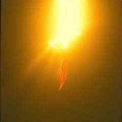 Light in the Hollow