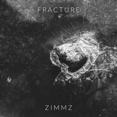 Zimmz - Fracture