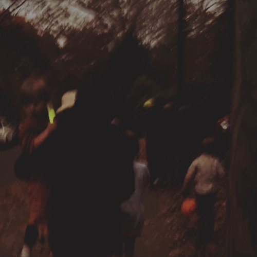 Halloween Fog