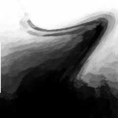 The Frequency Of Silence