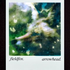 Fieldfox-Arrowhead