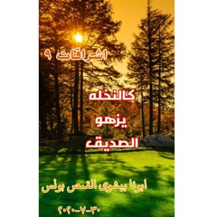‎⁨اشراقات (٩) | كالنخلة يزهو الصديق⁩.mp3