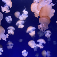 Night life vol.0 mix bpm75