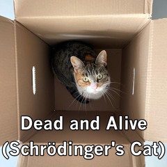 Dead and Alive (Schrödinger's Cat)