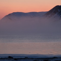Begrenset