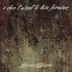 I Don't Want to Live Forever (Radio Video Remix)