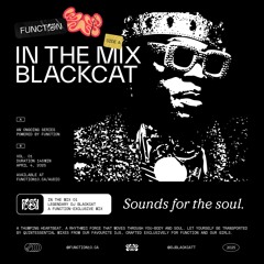 IN THE MIX - Legendary DJ Blackcat - Side A