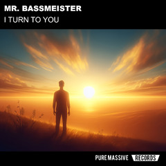 I TURN TO YOU - Mr. Bassmeister