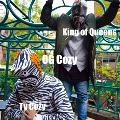Ogcozy